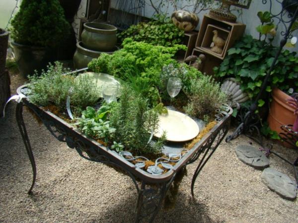 viileitä kasveja ja puutarhan taideideoita puupöytä