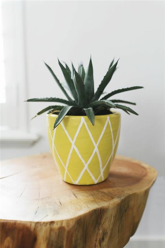 kaunis sisustus huonekasvi ananas koriste