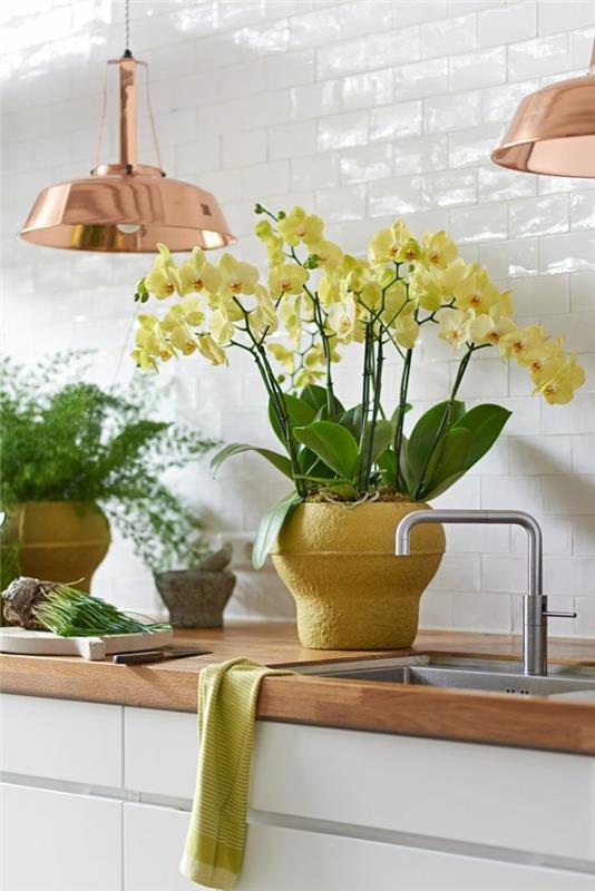 kaunis sisustus orkideoiden keittiökalusteilla