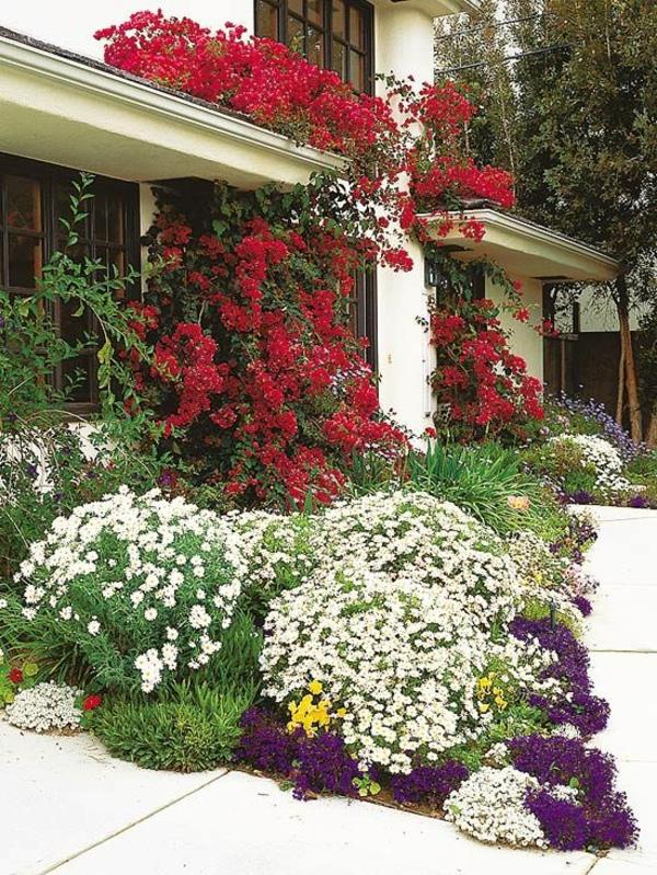 kaunis väriyhdistelmä kukille talon edessä