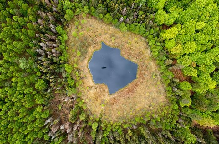 kauniit maisemat puut järvi kesä kirkkaat värit