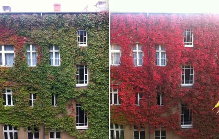 kauniit maisemakuvat talon julkisivun väri eloisa vihreä punainen kauden lopussa