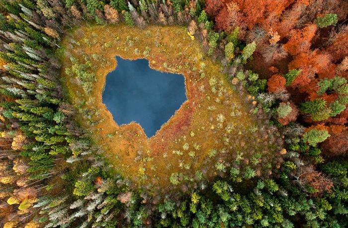 kauniita maisemia maalaus puita järvi talvi syksy