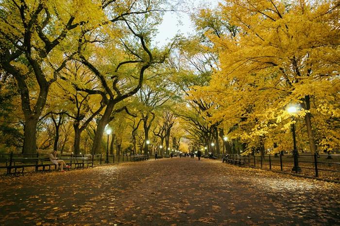 kauniit maisemakuvat kauden lopussa syksy Central Park New York