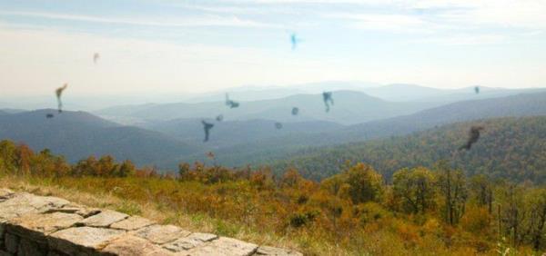 kaunis panoraama, jossa on paljon kellukkeita