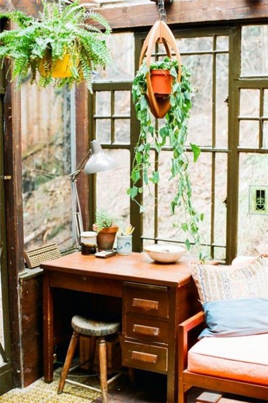 kauniita huonekasveja kuvia kukka valot talvipuutarha suunnittelu