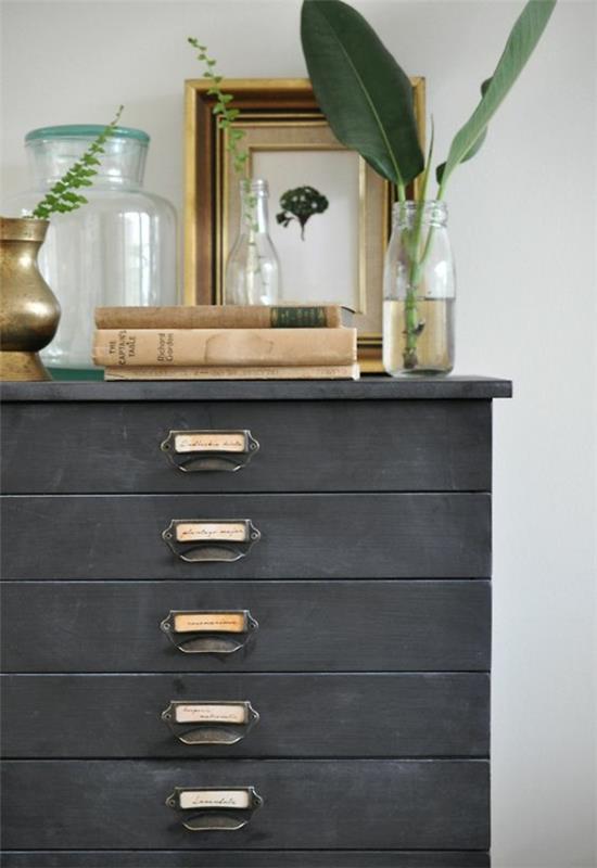 kauniita huonekasveja kuvia nuorista kasveista uudelleenistuttamista varten