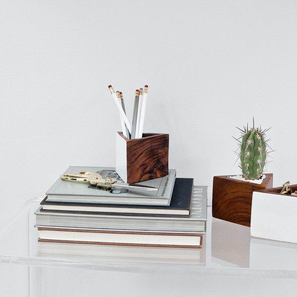 kauniita huonekasveja kuvia kaktus työpöydällä