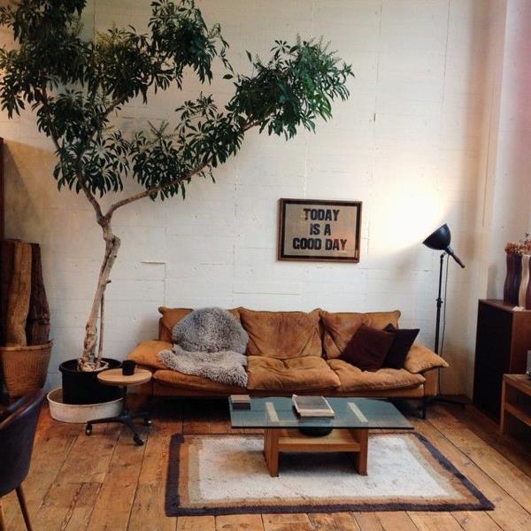 kuvagalleria kauniit huonekasvit sisustavat olohuoneen puu