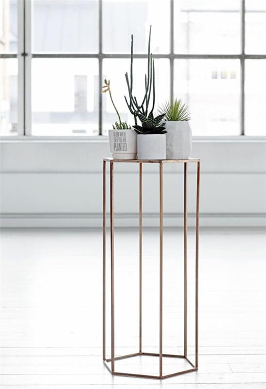 kauniita huonekasveja helppohoitoinen kuvagalleria