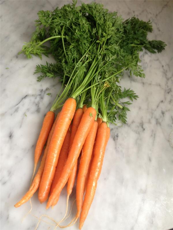 nopea terveellinen syöminen porkkanat syöminen työpaikalla pieni nälkä
