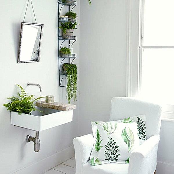 koristele kauniita kylpyhuoneen vihreitä huonekasveja