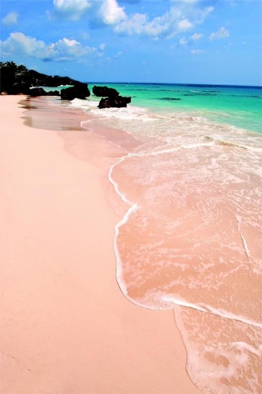 kauneimmat rannat Pink Sand Beach Bahama