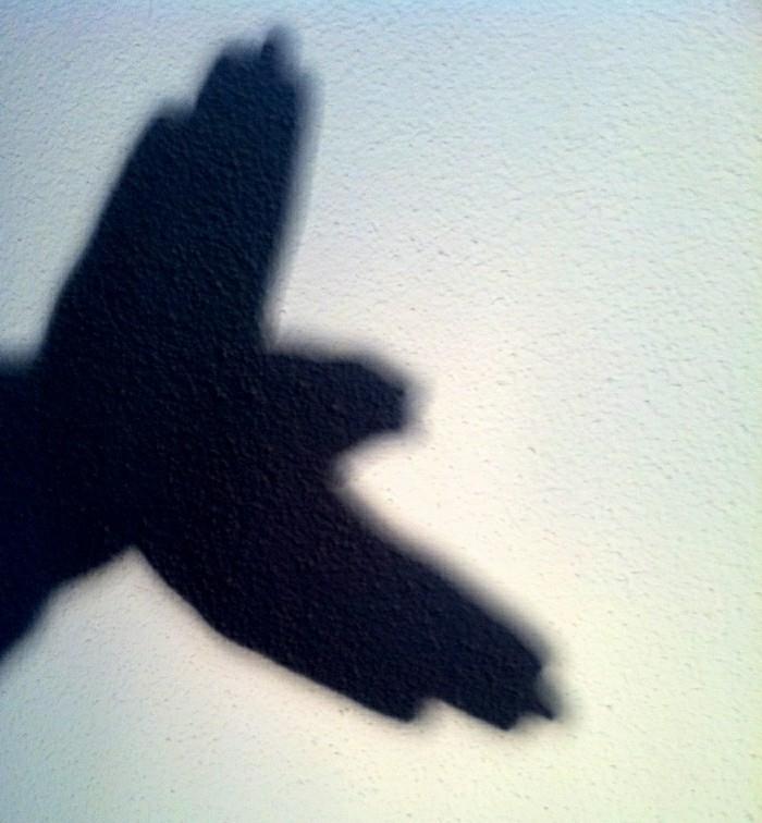 Schattenbilder Schattenspiel Schattentheater lintujen ohjeiden mukaan