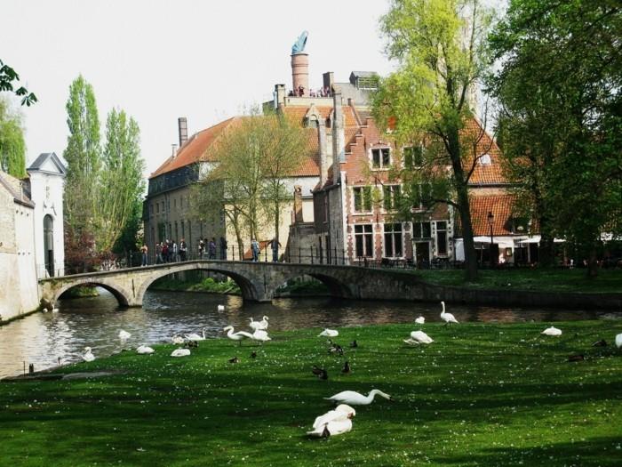 nähtävyydet brugge belgia hämärä kaupunki keskimmäinen belgialainen vohvelimarkkinat minnewater-see-der-love-swan