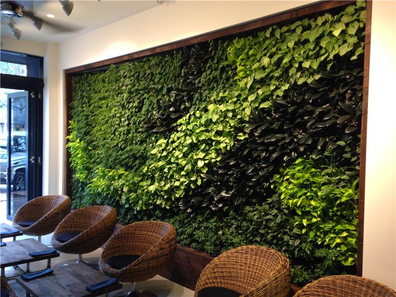 erittäin hyvä idea kasvien vihreän seinän suunnittelussa