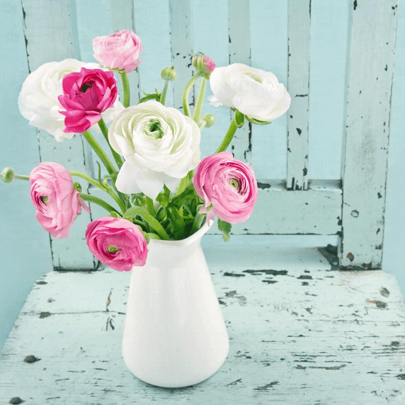 nuhjuinen tyylikäs vintage maljakko kukat ranunculus vaaleanpunainen valkoinen