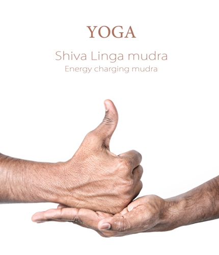 Shiva Linga Mudra