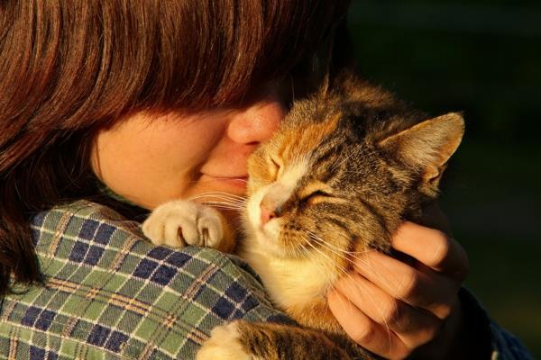 rentoutumistekniikat lemmikkieläimet kissat nurisevat