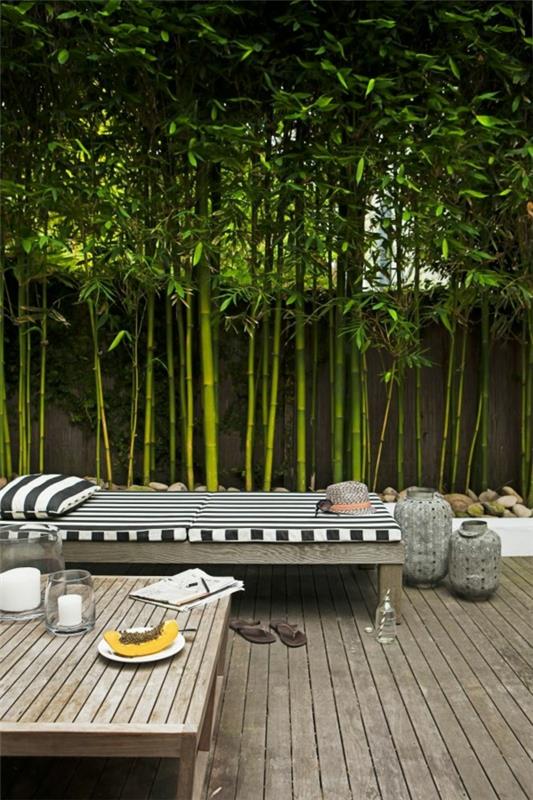Yksityisyys aidan puutarhan suunnitteluideoita elävä puutarha -aita bambu