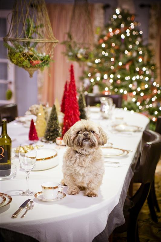 deco -ideat uudenvuodenaaton juhla -hopea -koristepöydän koristelu uudenvuodenaaton koira