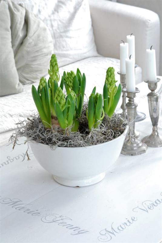 Skandinaaviset kevätkoristeelliset hyasintit sohvapöydän valkoisessa kattilassa valkoiset kynttilät hopeiset kynttilänjalat