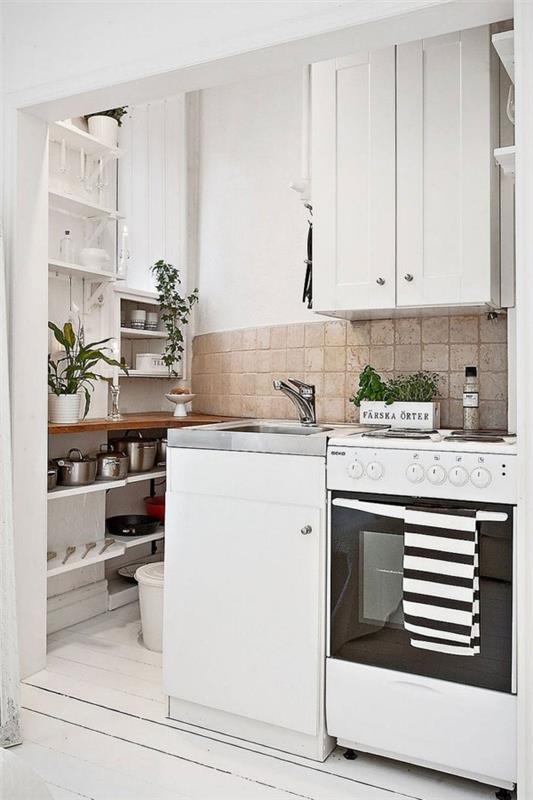 Skandinaavinen keittiö asetti valkoiset kaapit huonekasvien koon mukaan