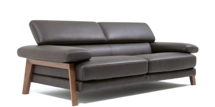 sohvan suunnittelu klassinen tumma väri - sisustus