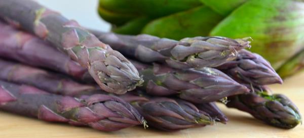 parsa istuttaa tuoreet varret violetiksi