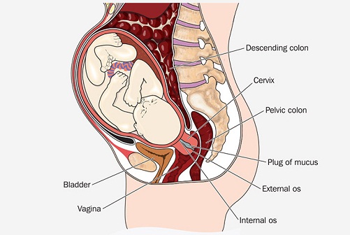 Spotting under graviditeten 12