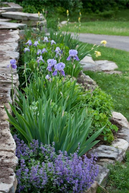Luo kivipuutarha ja koristele laventelilla