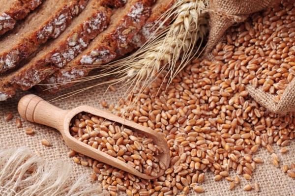 horoskooppi skorpioni täysjyväleipätuotteet