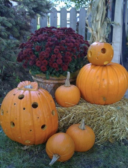 tyylikkäitä ja pelottavia ideoita halloween -kurpitsoille, joissa on veistettyjä reikiä