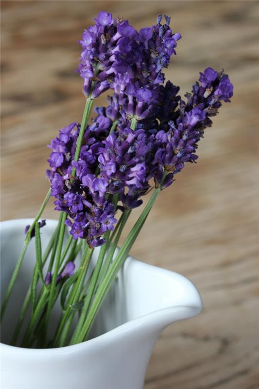 vähentää stressiä laventeli tuoksu vinkkejä elämäntapa