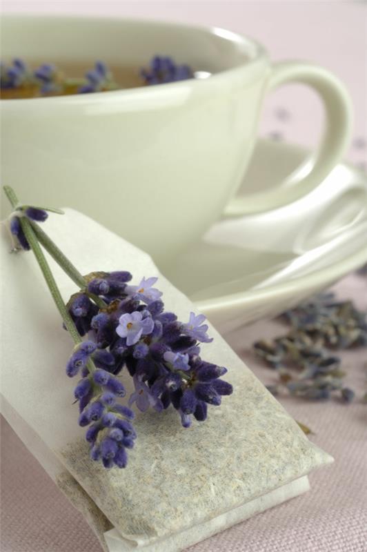 lievittää stressiä laventeli teetä