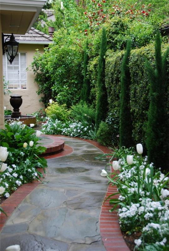 rakenne puutarhassa kapeat tyylikkäät sypressit valkoiset tulppaanit