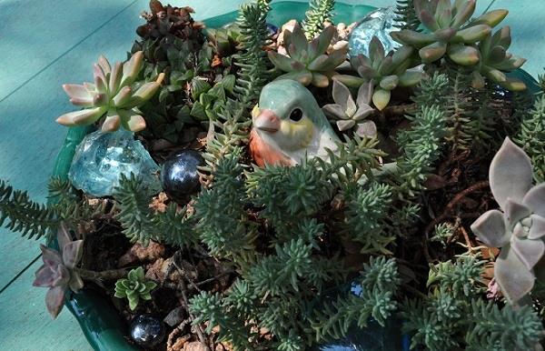 mehikasvit järjestelyt kasvit koristelu keraaminen lintu