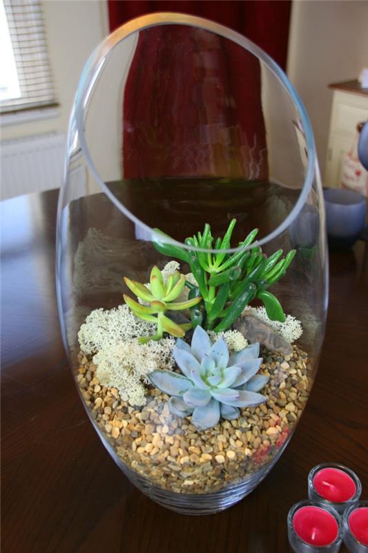 mehikasveja lasillisessa pikkukiviä kauniita koristeellisia huonekasveja
