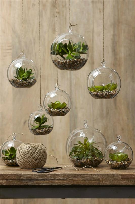 meheviä huonekasveja lasi terrarium deco