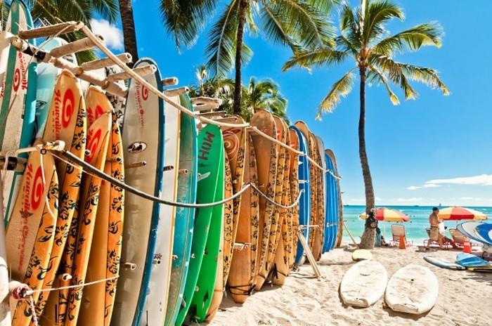 surffailla rannalla