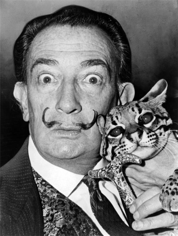 surrealismin taiteilija salvador dali