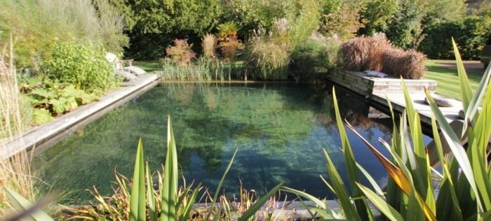 Rakenna uima -allas puutarhaan rentoutumiseen kesällä