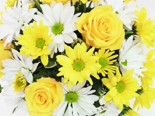 symboliikka kukat keltaiset ruusut valkoiset koiranputkea