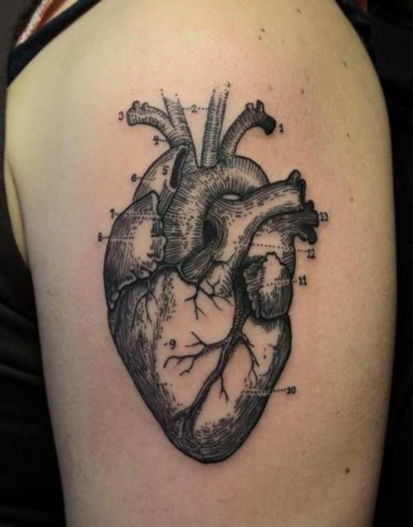 tatuointimotiivit sydän ihmisen anatomia tatuoinnit