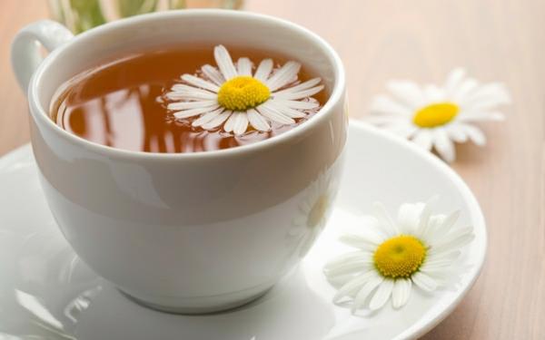 juo teekuppi kukka yrttejä terve kamomilla teetä