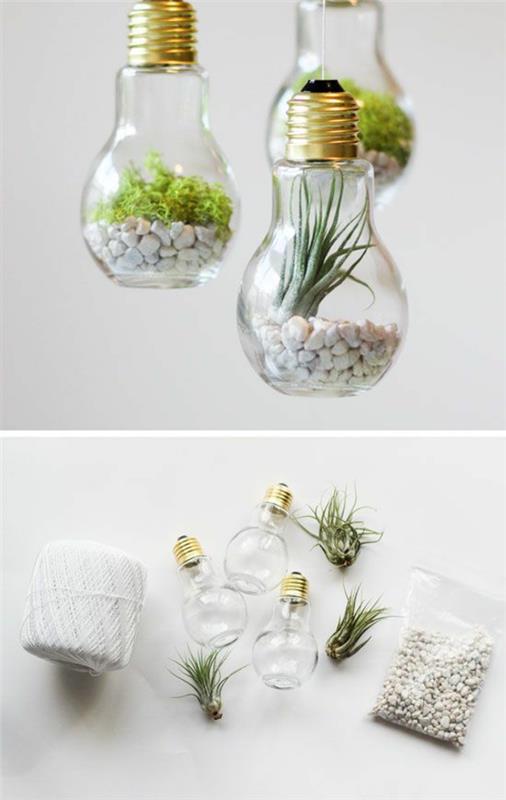 terrarium kastaa diy -projekteja hehkulampuilla ja rakenna oma terraario