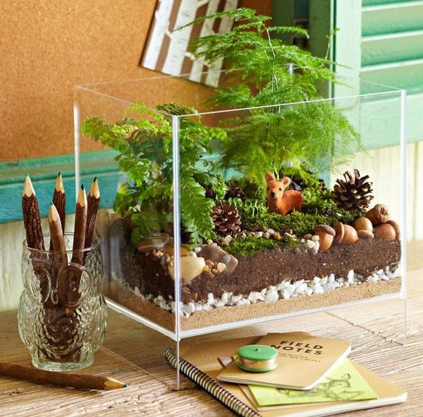 terrarium kasvit lasi astia suorakulmainen työpöytä koristella
