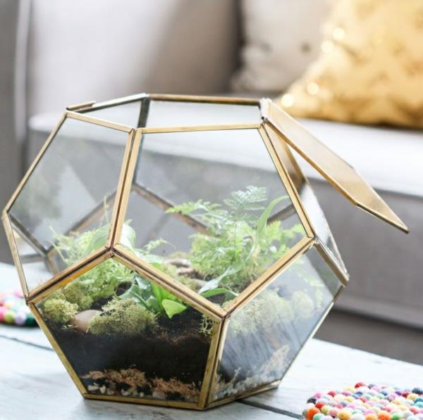 terrarium istuttaa lasiastioita epäsäännöllisesti