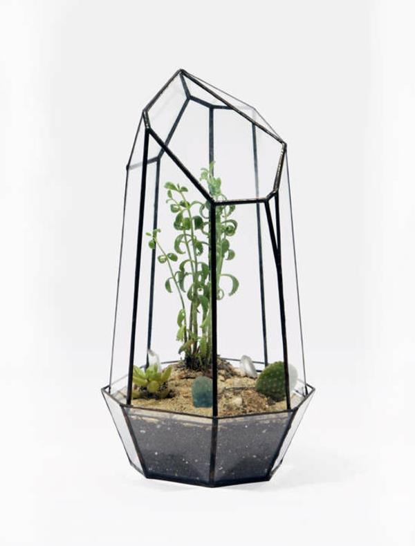 terrariumkasvit tekevät terrariumkasveista helppoa hoitaa