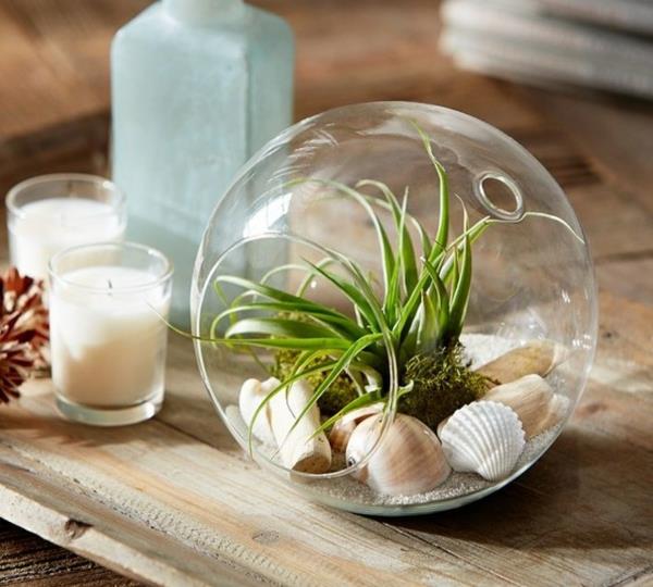 rakenna oma terrariumin lasipallon simpukoiden suojaisa sammalhiekka